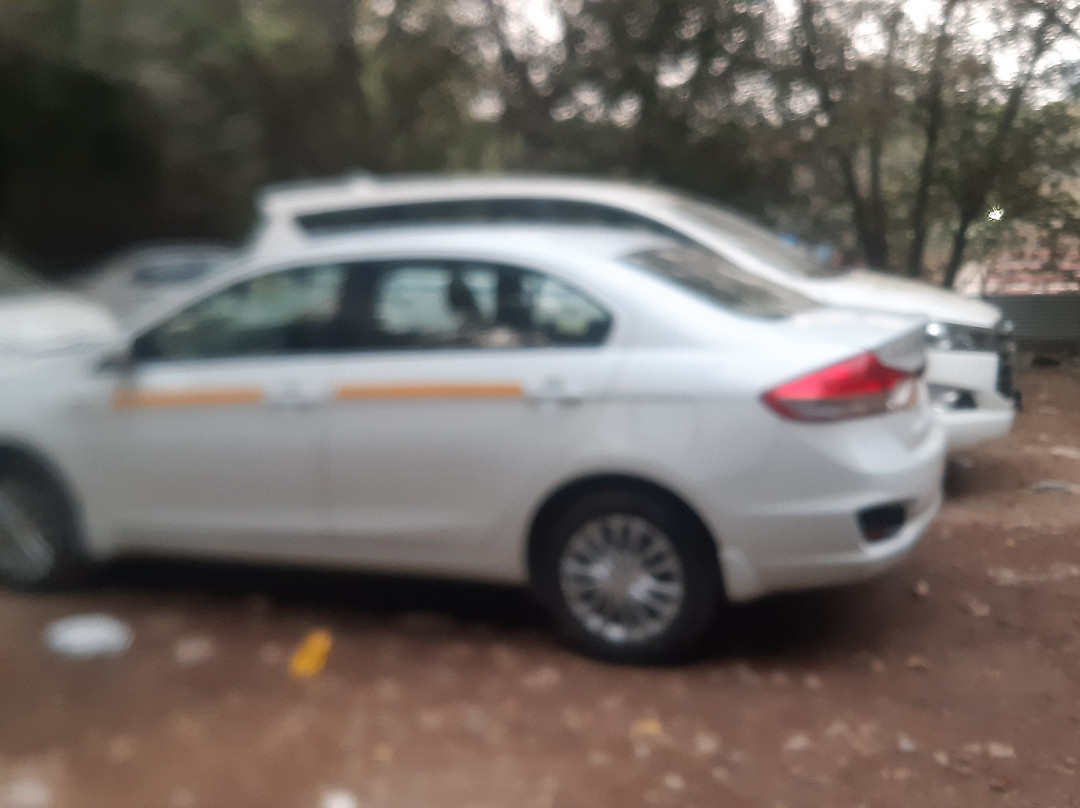 Neemrana Taxi Service Rajasthan景点图片