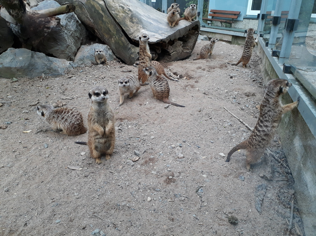 Zoologischer Garten Hof景点图片