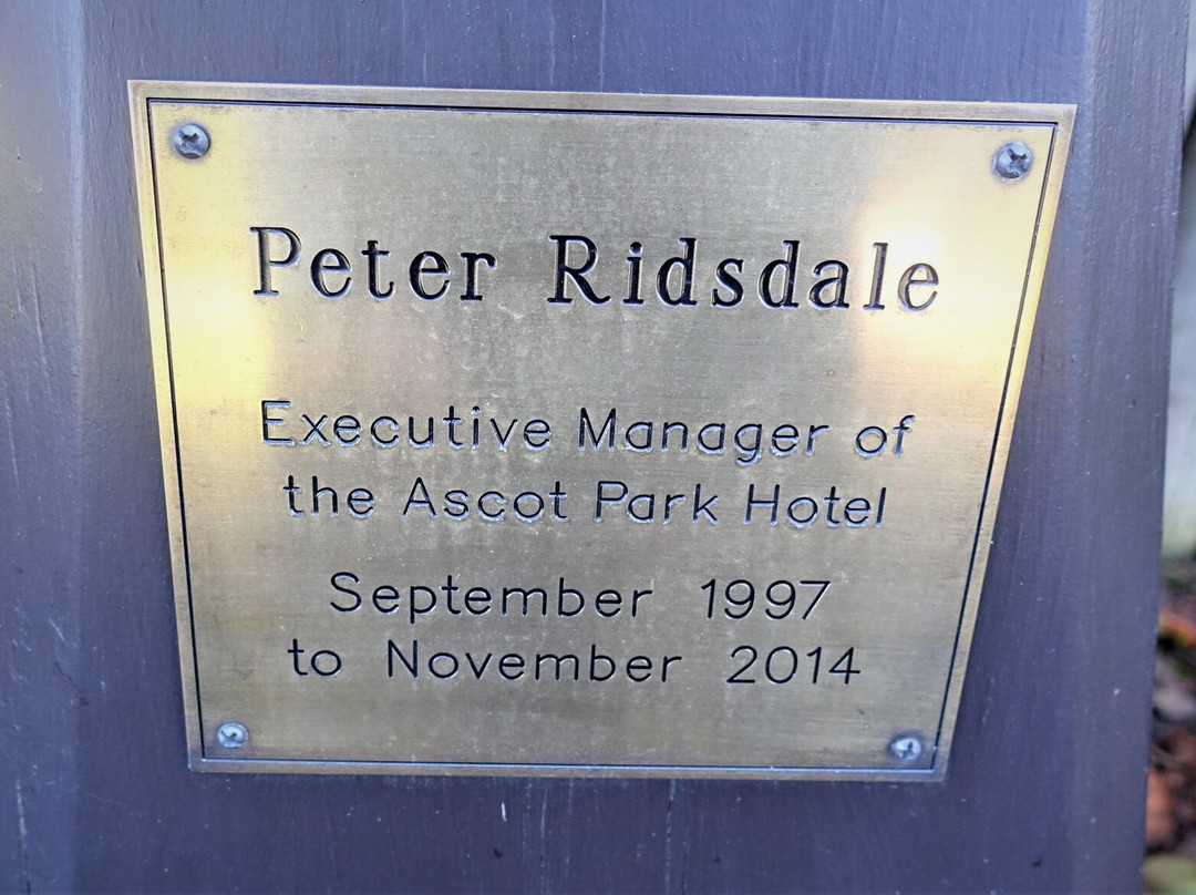 阿斯科特赛马场公园酒店主图