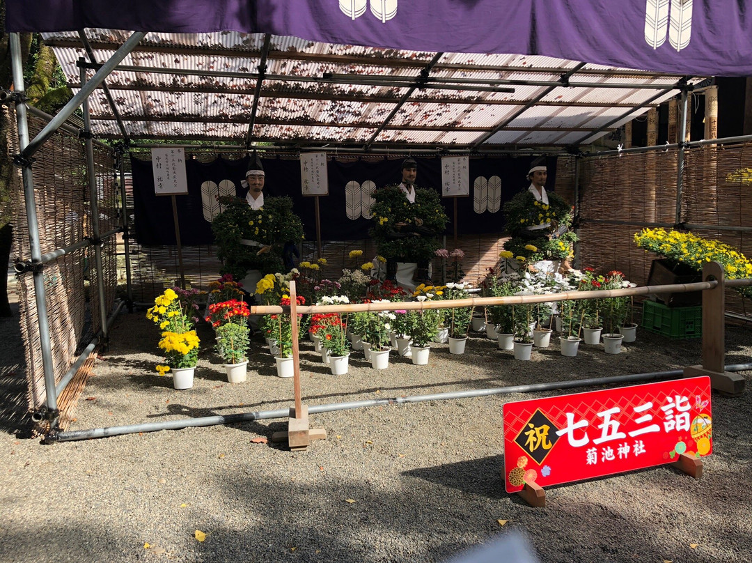 Kikuchi Shrine景点图片