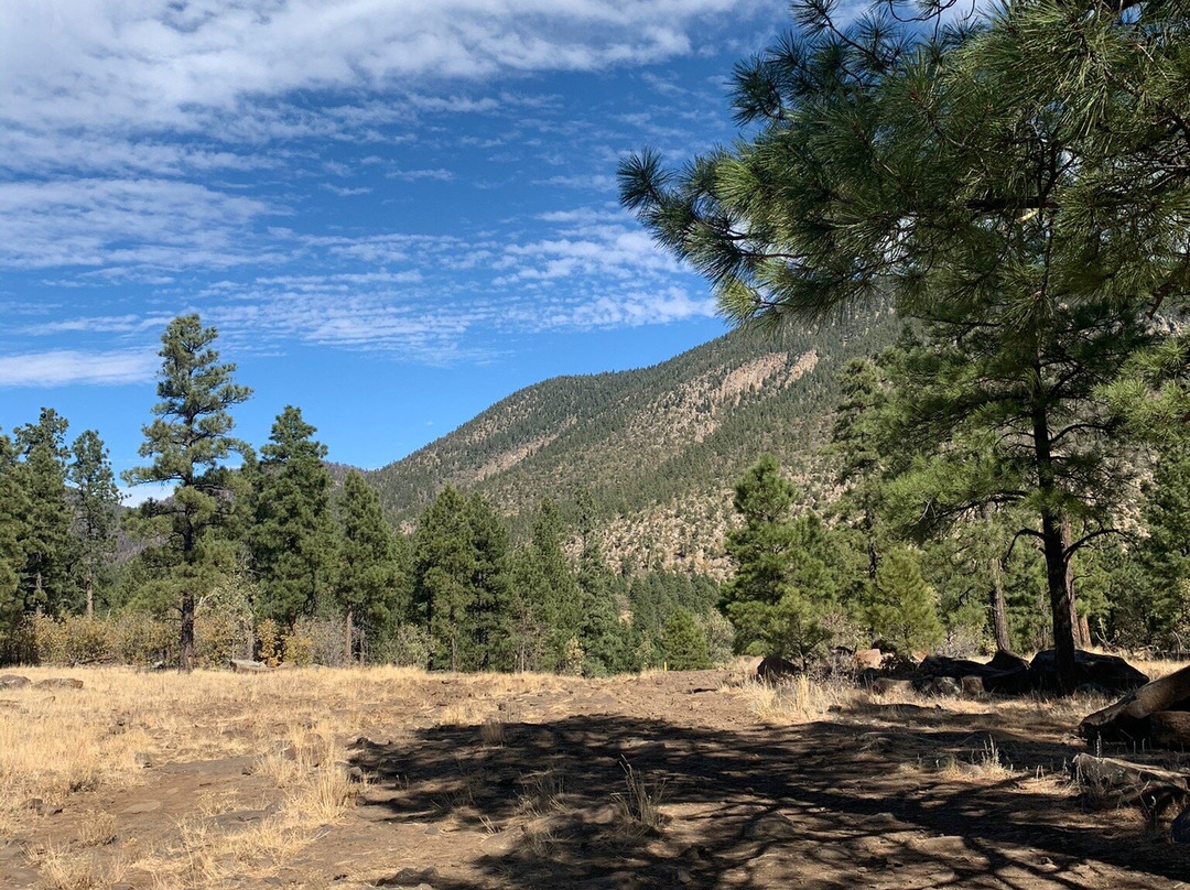 Buffalo Park-弗拉格斯塔夫必去景点