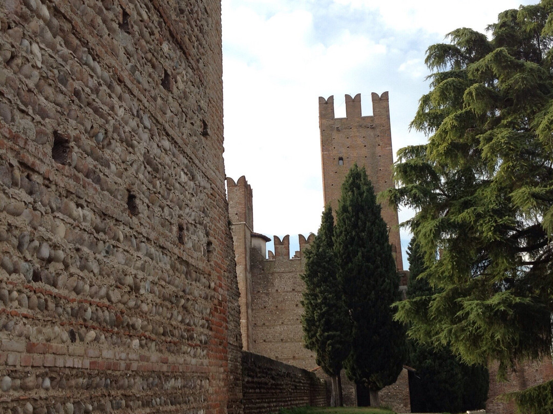 Castello Scaligero di Villafranca景点图片
