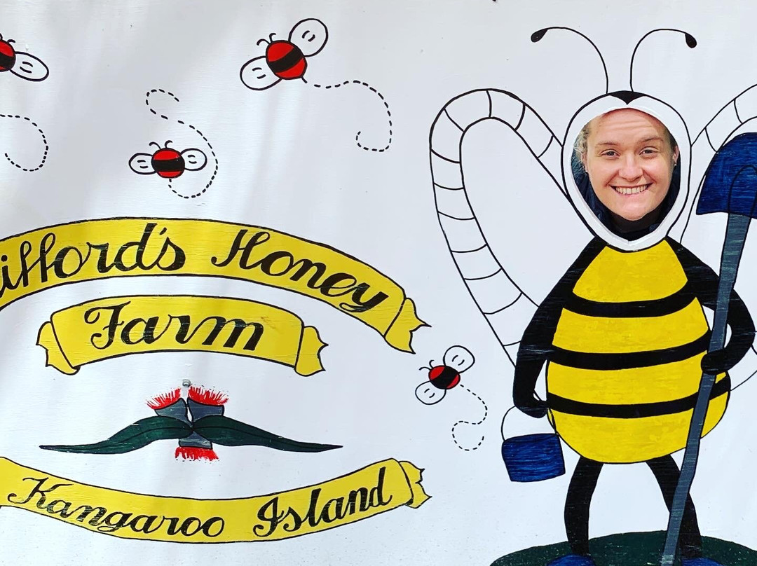 Clifford's Honey Farm-金斯科特必去景点