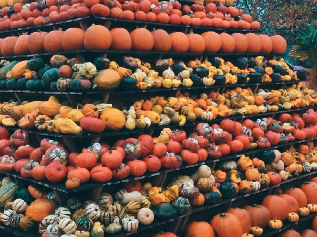 Erlebnisbauernhof Gertrudenhof-Hürth必去景点