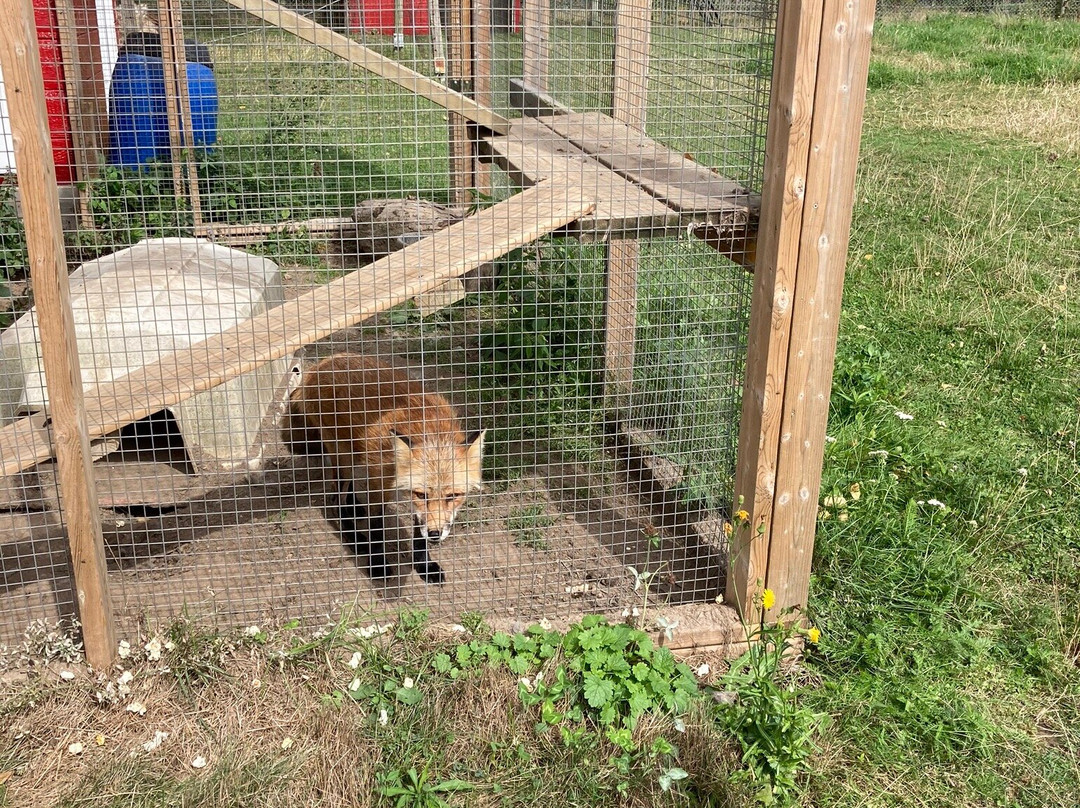 Oshawa Zoo-奥沙瓦必去景点