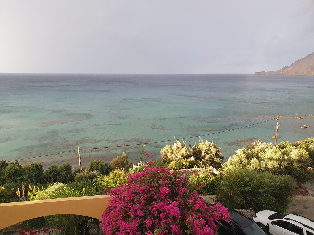 荷莱恩海滩酒店主图