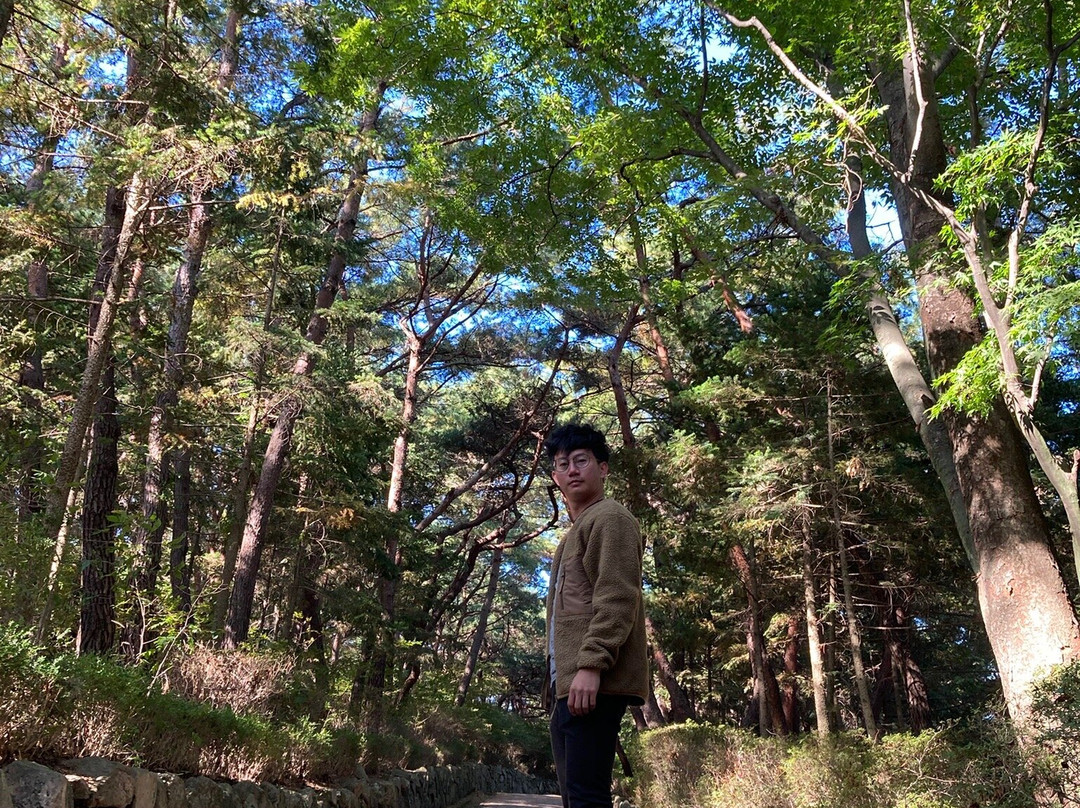 Tomb of General Kim Yu Shin-庆州市必去景点