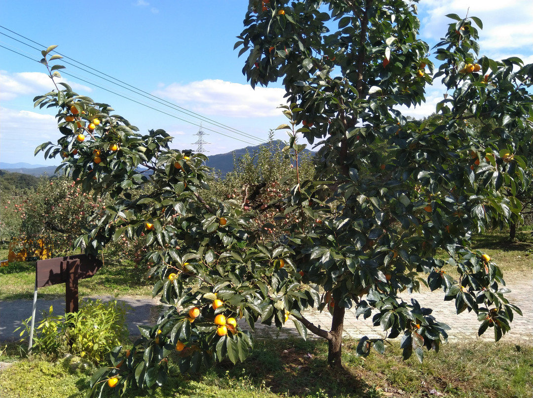 Nakdong Seunggok Village-尚州市必去景点