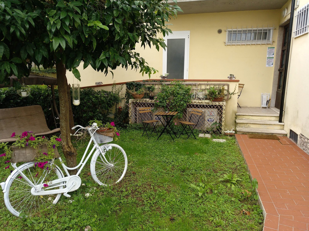 Villa Noemi Bed&Breakfast主图