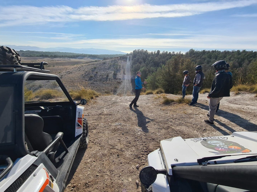 Monkeyland-阿米拉必去景点