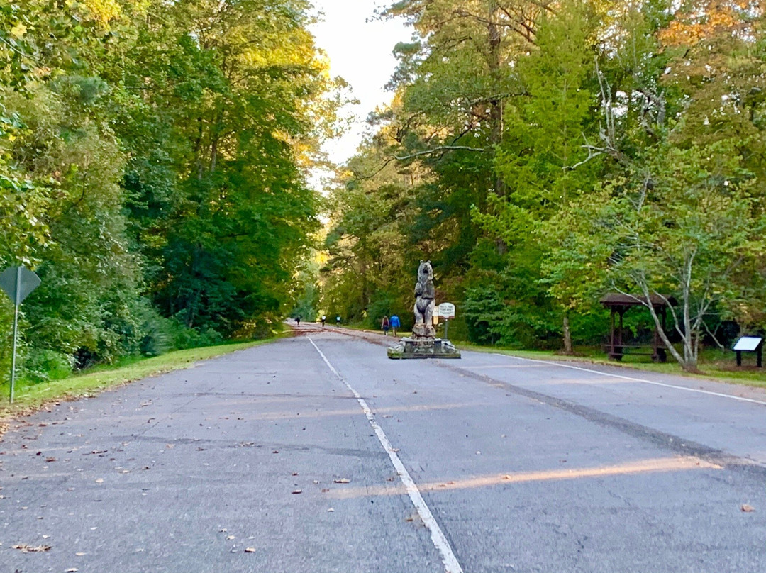 Dismal Swamp Canal Trail景点图片