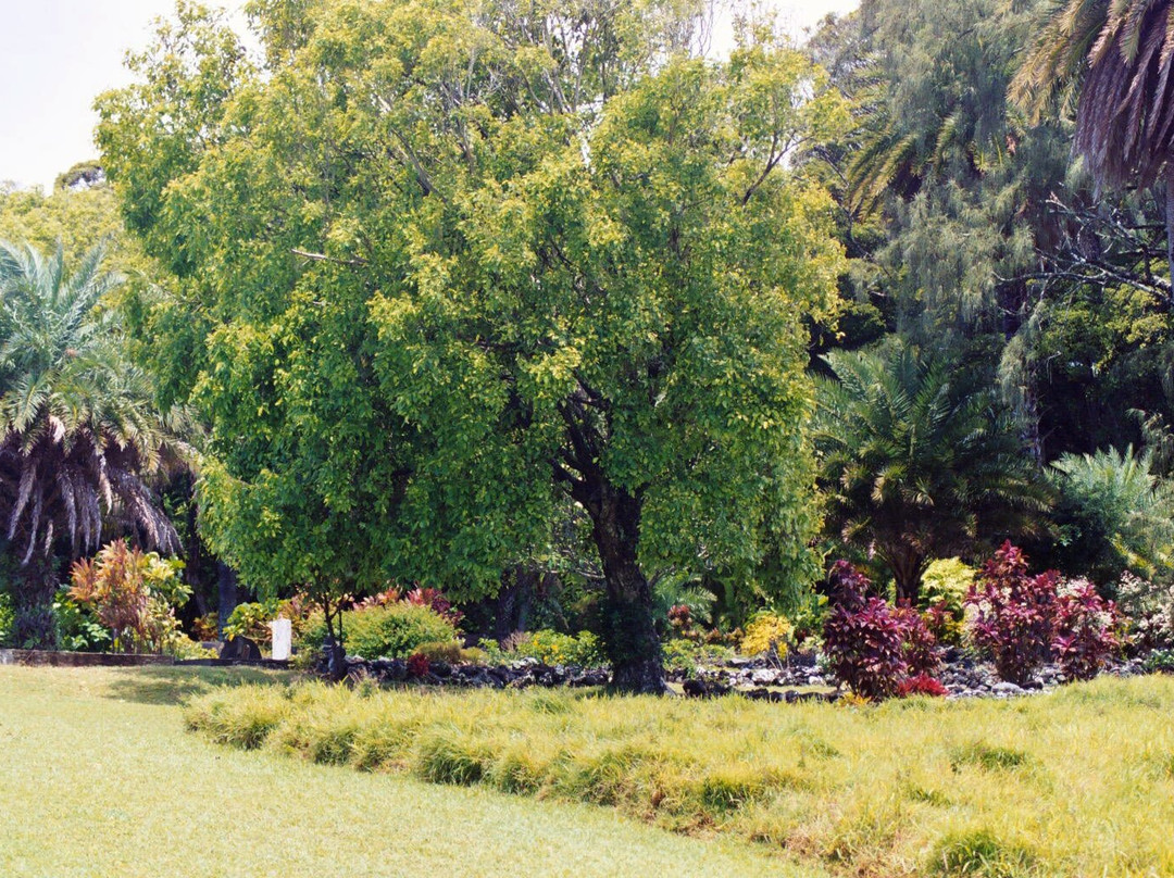 Palapala Ho'omau Church-Kipahulu必去景点