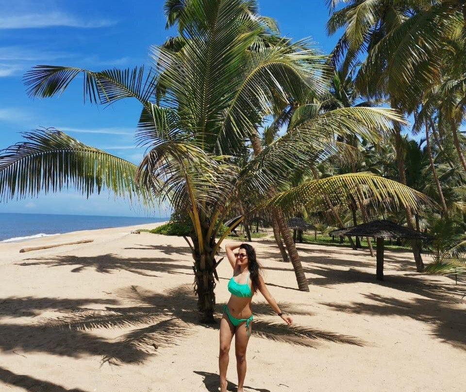 Malabar Ocean Front Resort & Spa主图