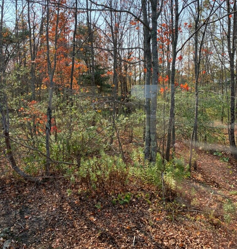 Downeast Scenic Railroad景点图片