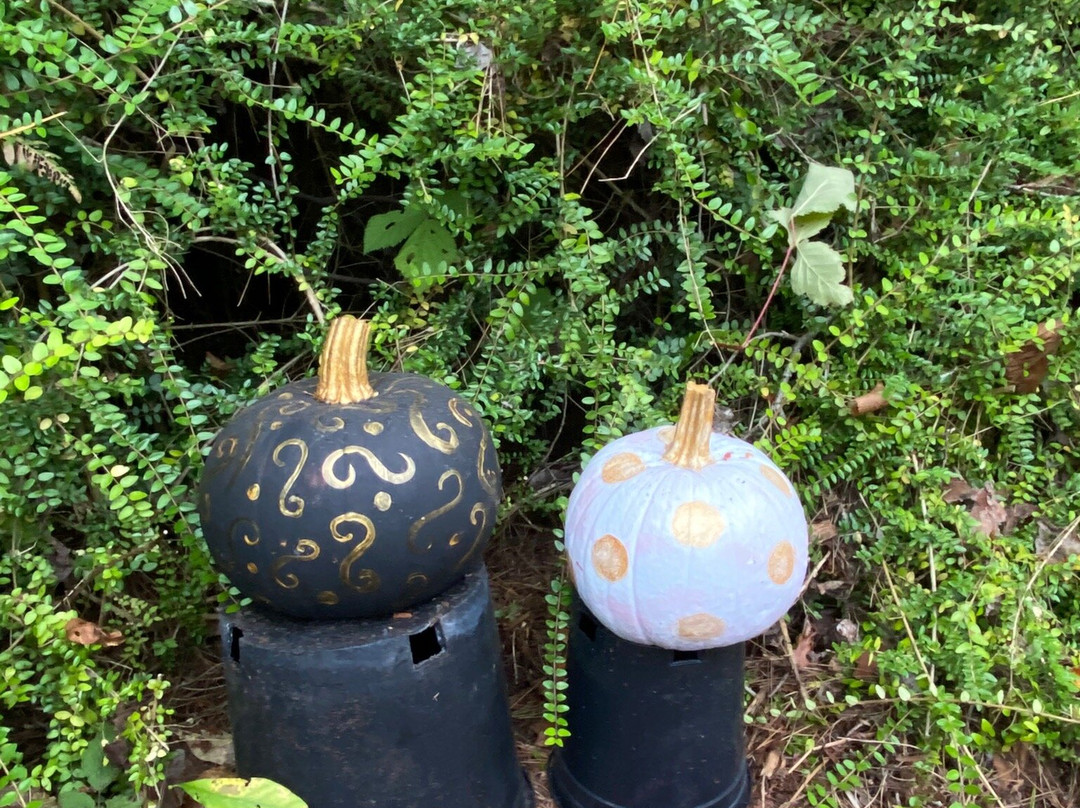 Bainbridge Gardens景点图片