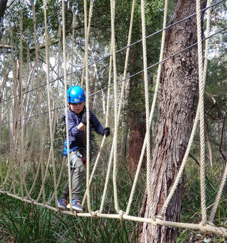 Treetops Adventure Yeodene-Yeodene必去景点