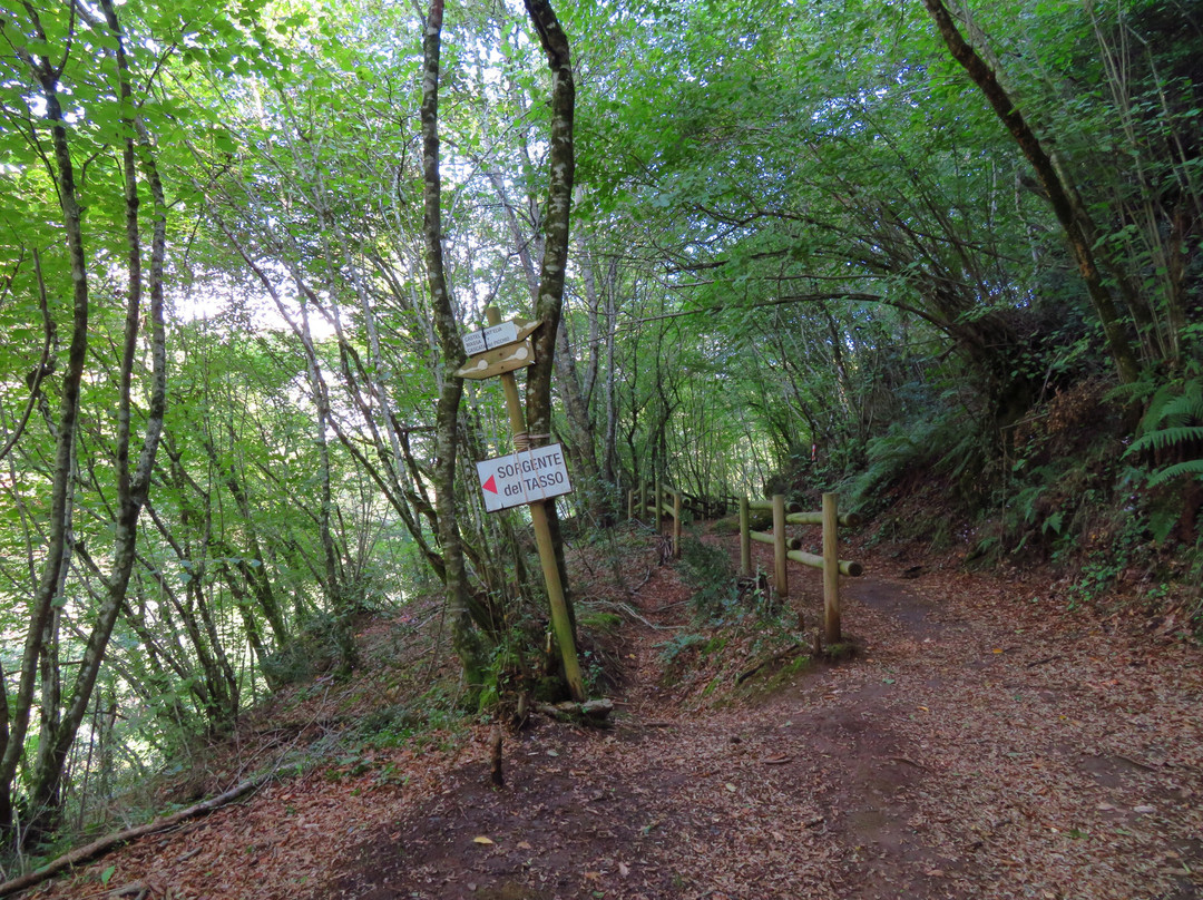 Cascata del Picchio-Nepi必去景点