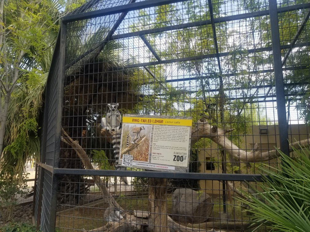 Alameda Park Zoo-阿拉莫戈多必去景点