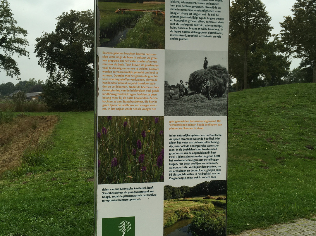 Nationaal Park Drentsche Aa景点图片