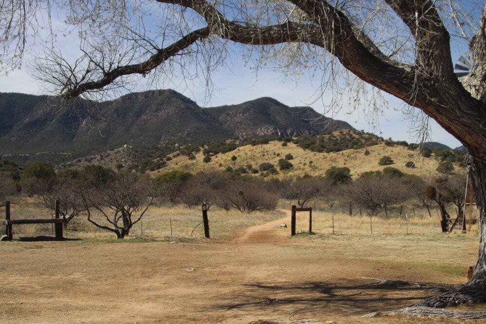 Brown's Canyon Ranch景点图片