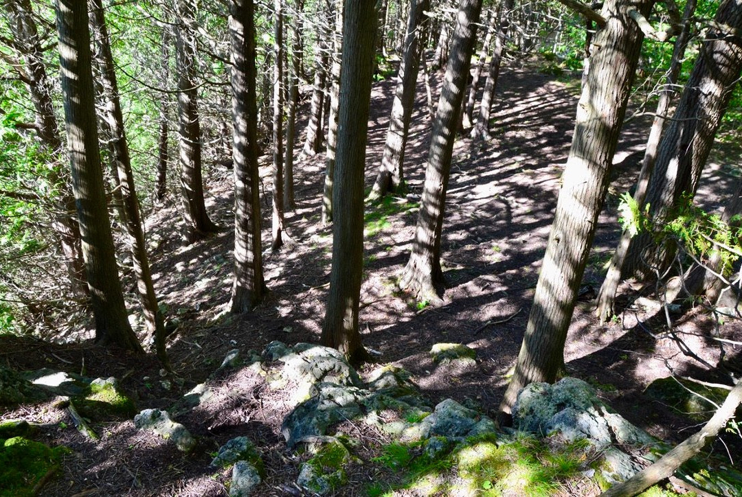 Old Baldy Conservation Area景点图片