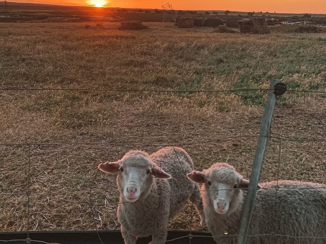 Nambung Station Stay主图