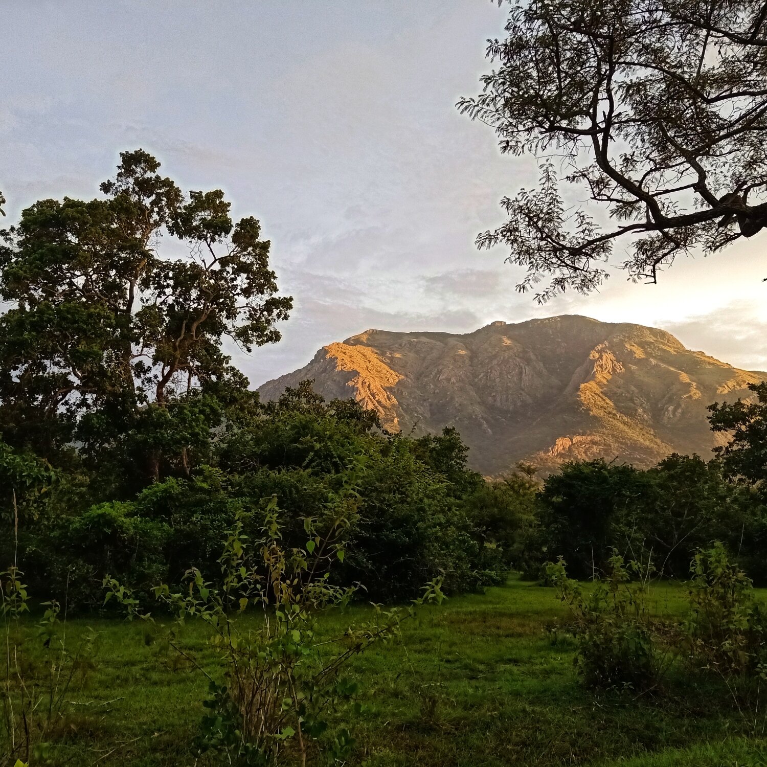 Secret Ivory Farm & Guest House-官方