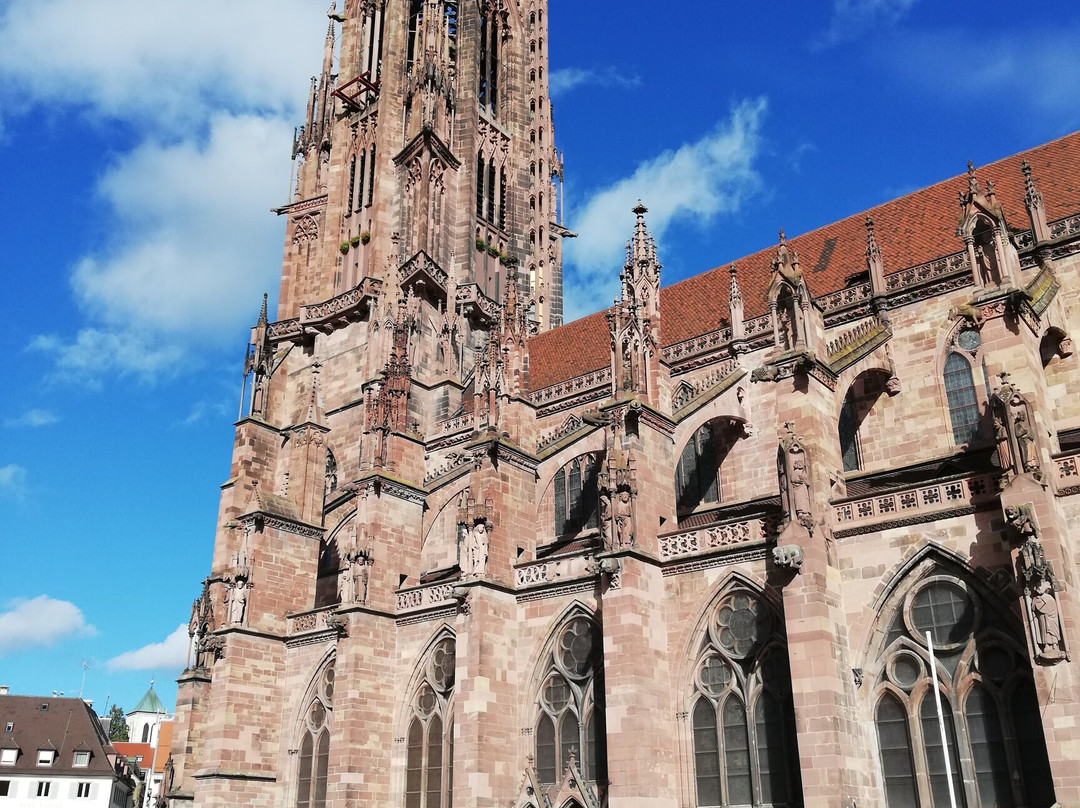 Freiburg Cathedral-佛莱堡必去景点
