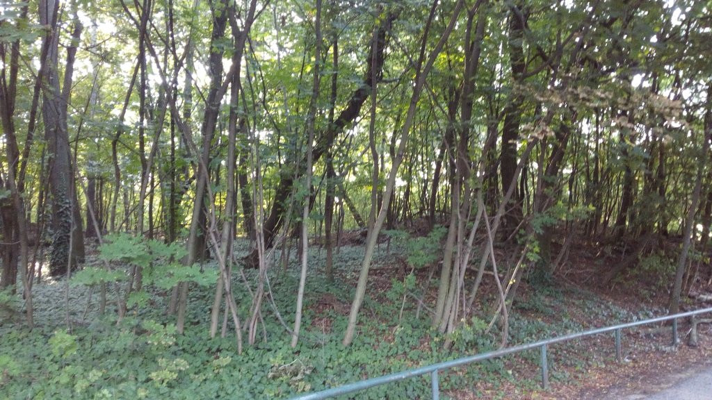Horsky Park-布拉迪斯拉发必去景点