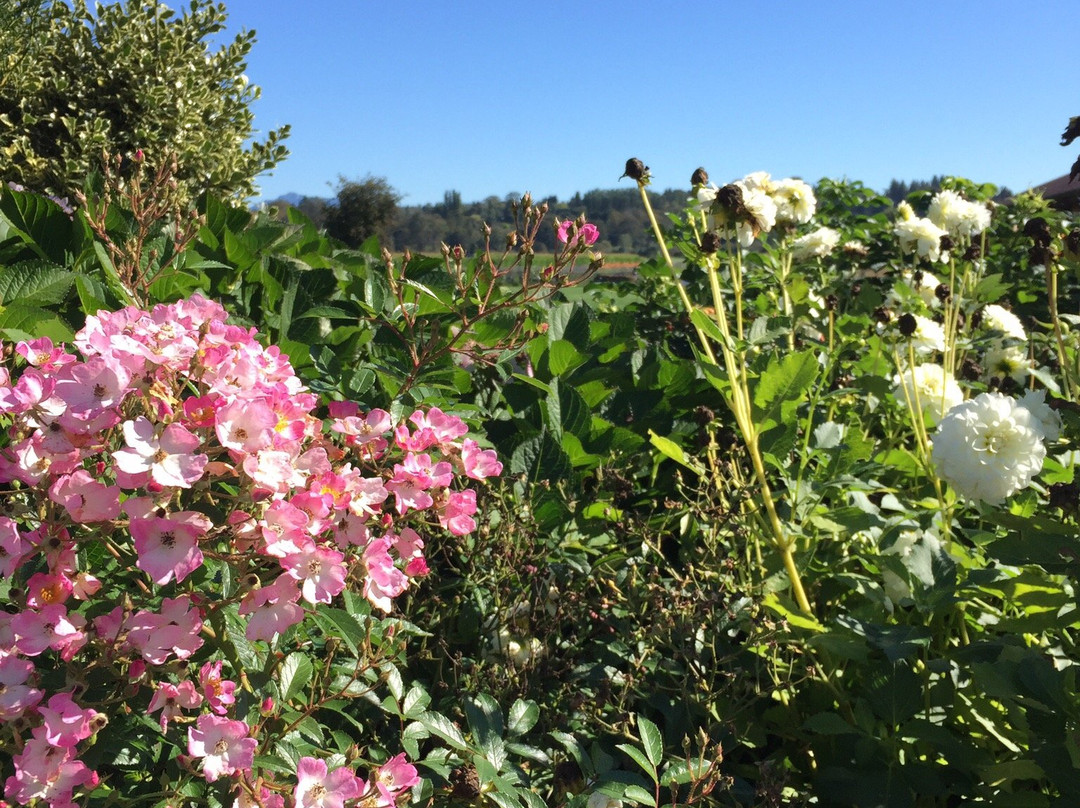 The Farm at Swan's Trail-Snohomish必去景点