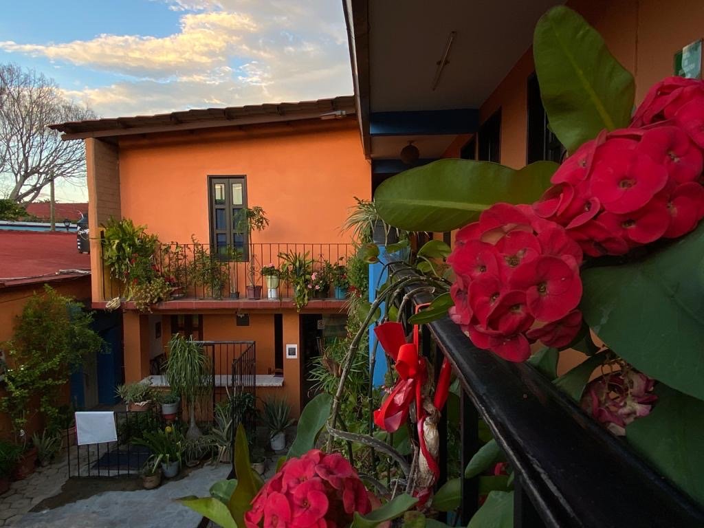 Hotel El Rincón de Doña Bety-官方