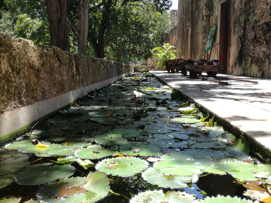 Hacienda Ochil-梅里达必去景点