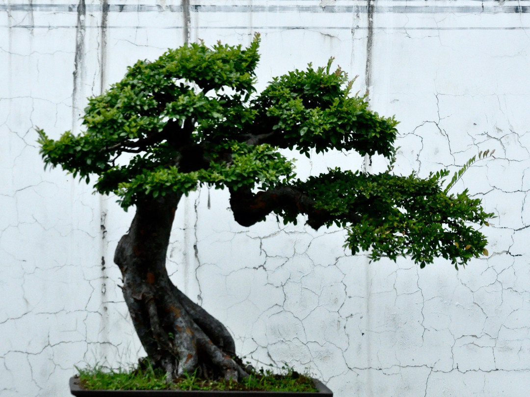 鲍家花园-黟县必去景点