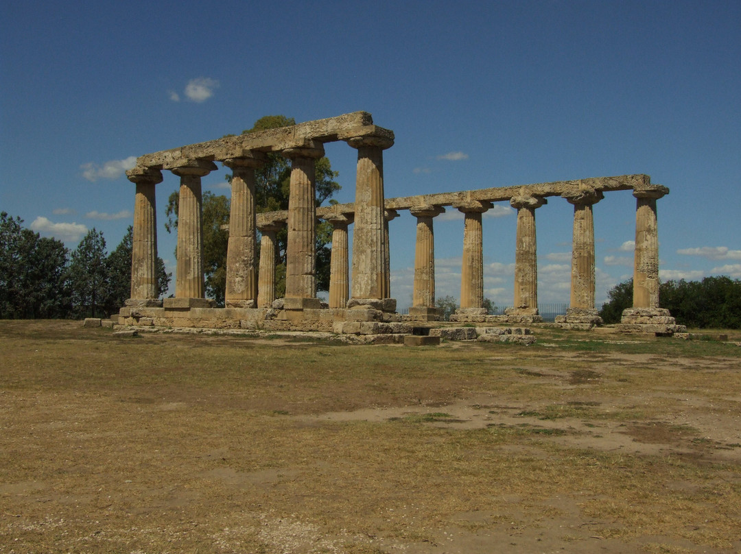 Museo Archeologico Nazionale di Metaponto景点图片