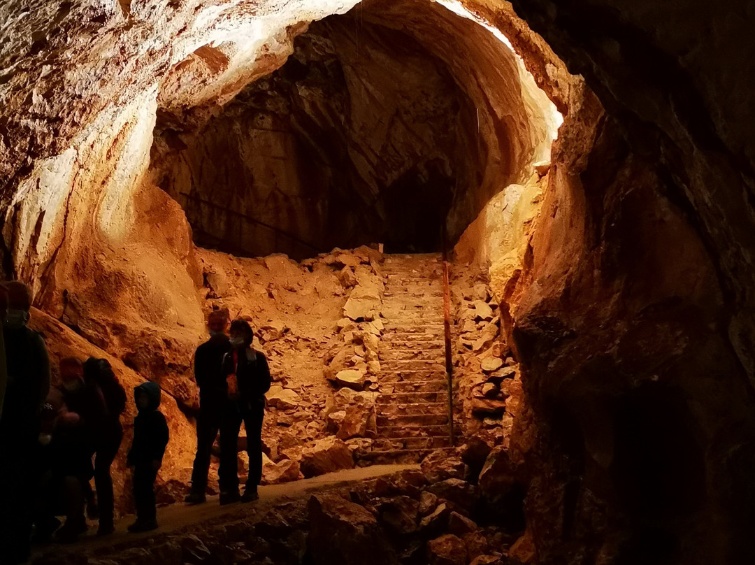 Mammoth Cave-上特劳恩必去景点