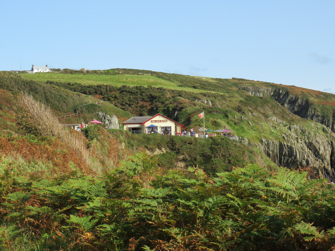 Groudle Glen Railway景点图片