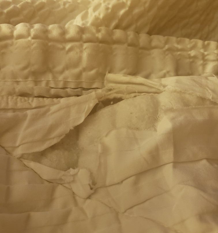 Fairfield by Marriott Inn & Suites Mansfield Ontario主图