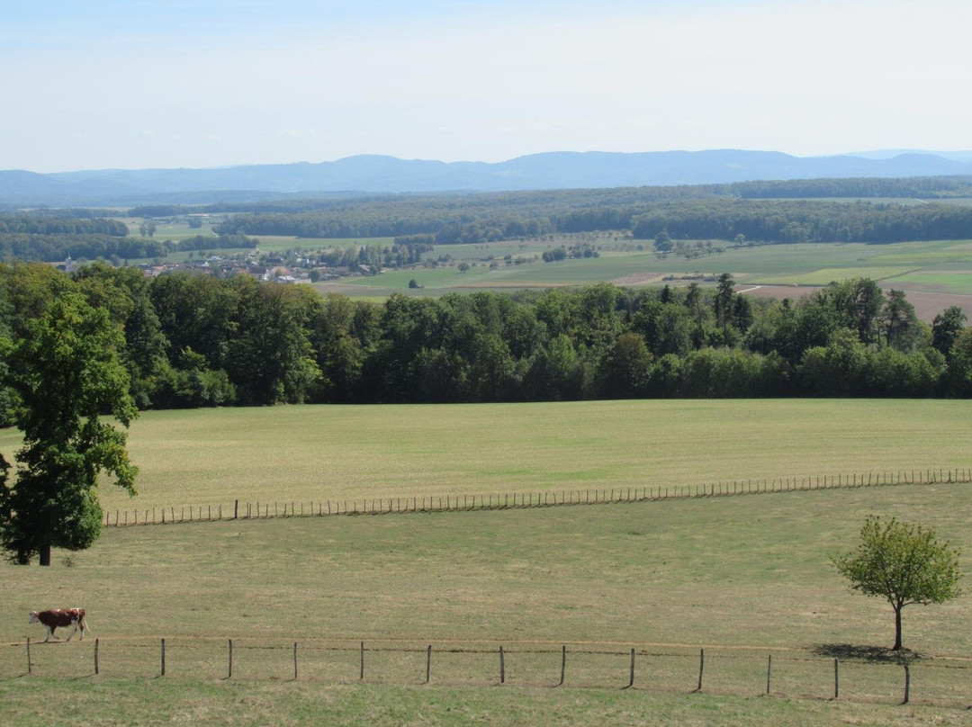 Tour Panoramique Mont Renaud景点图片
