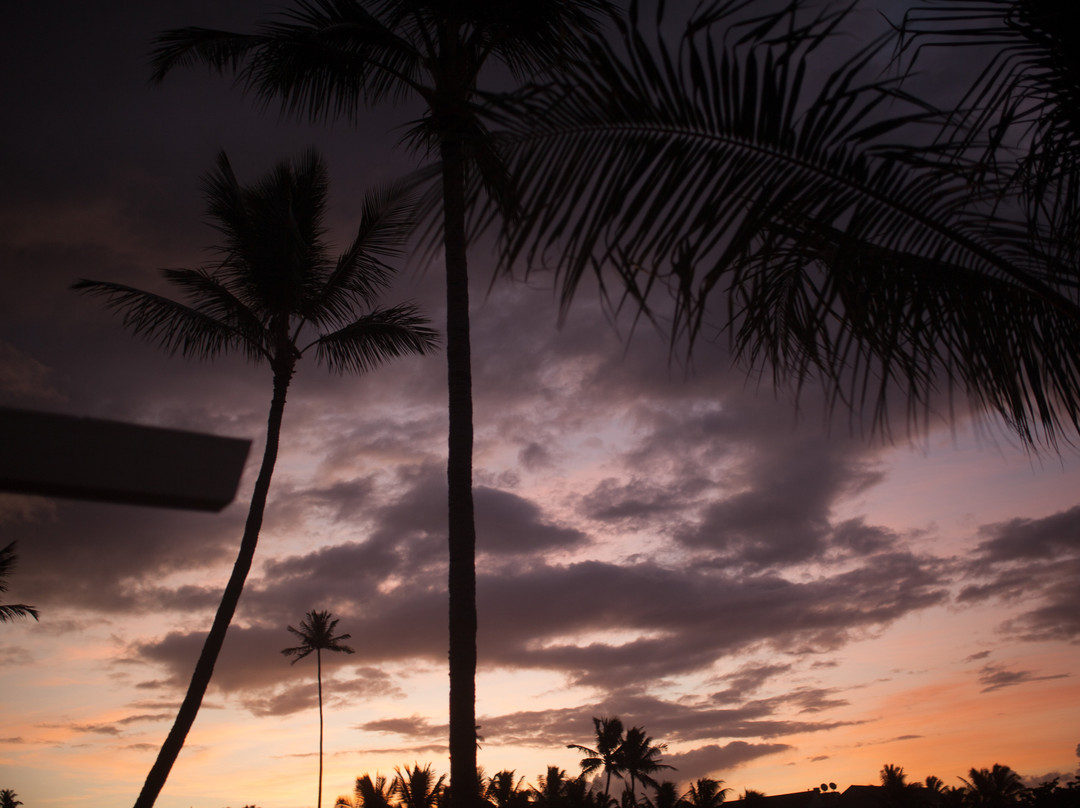 黑尔种植园套房酒店主图