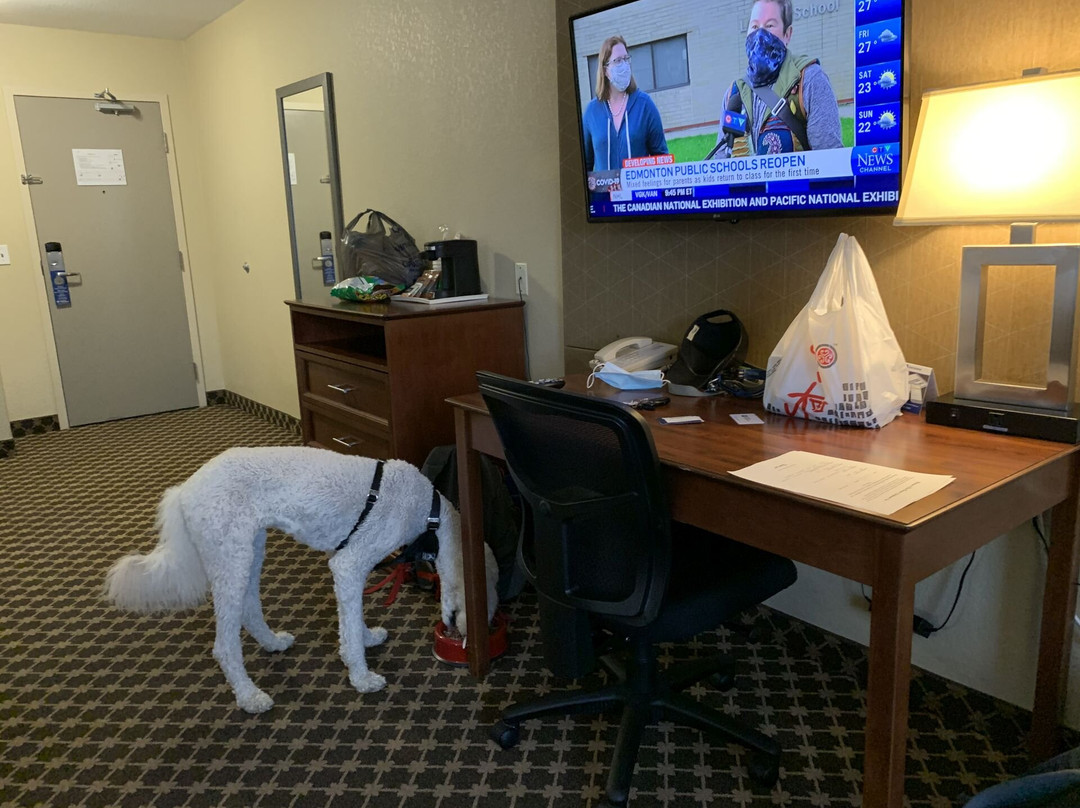 Best Western Strathmore Inn主图