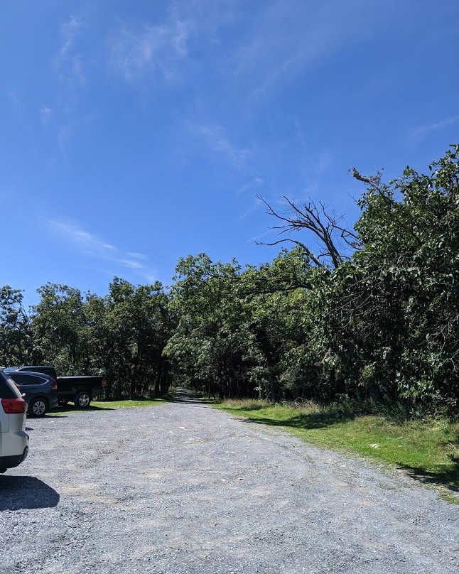 Cacapon Resort State Park主图