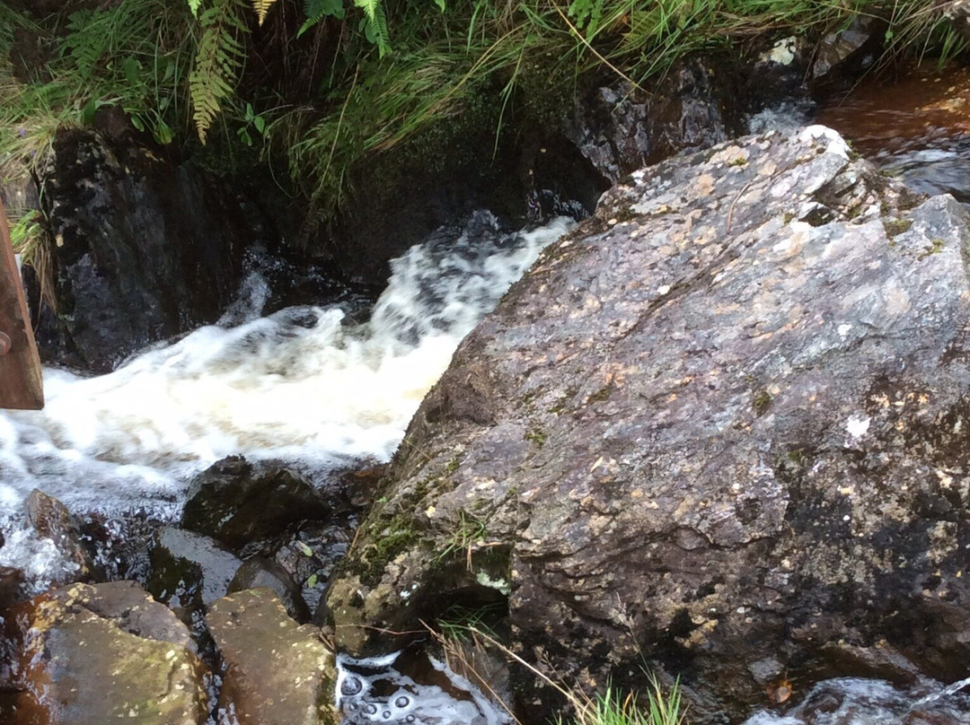 Galloway Forest Park-Galloway Forest Park必去景点