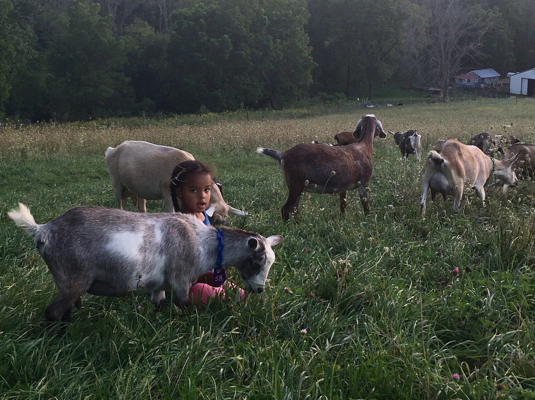 Rainbow Ridge Farms La Crosse/onalaska主图