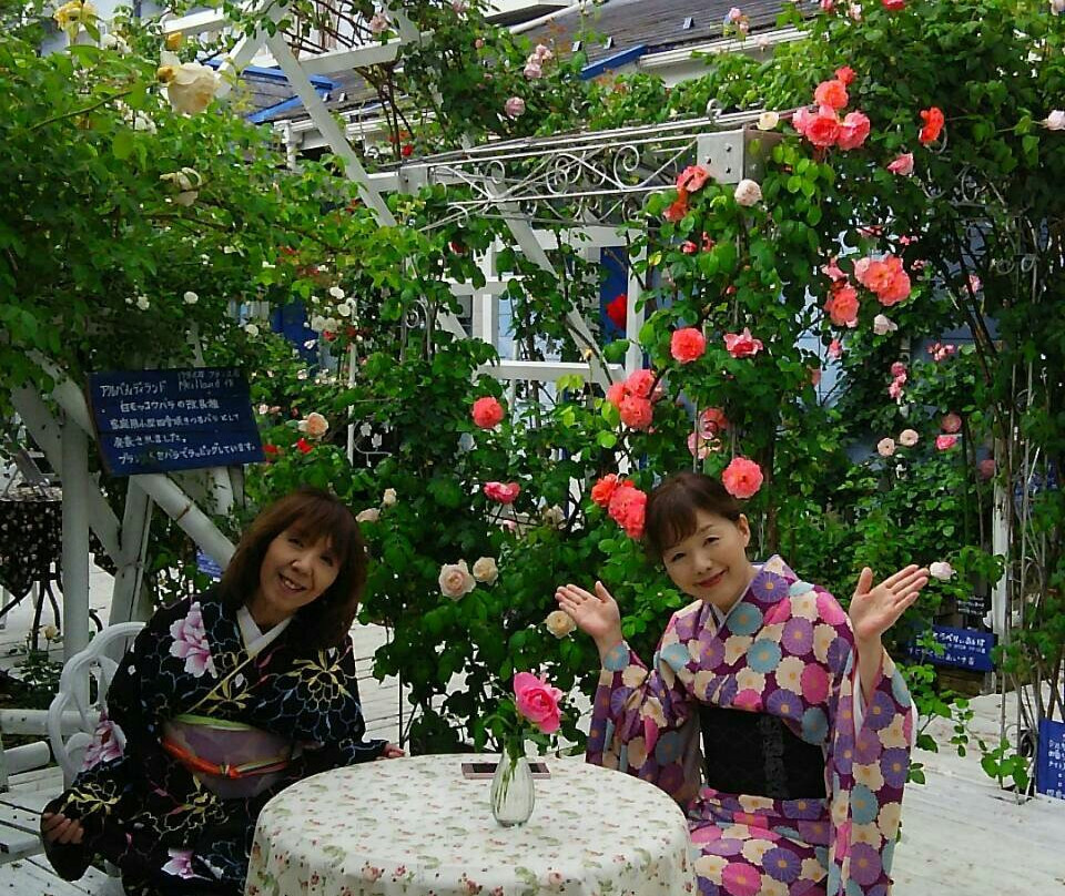Strawberry Ice Rose Garden-舞鹤市必去景点