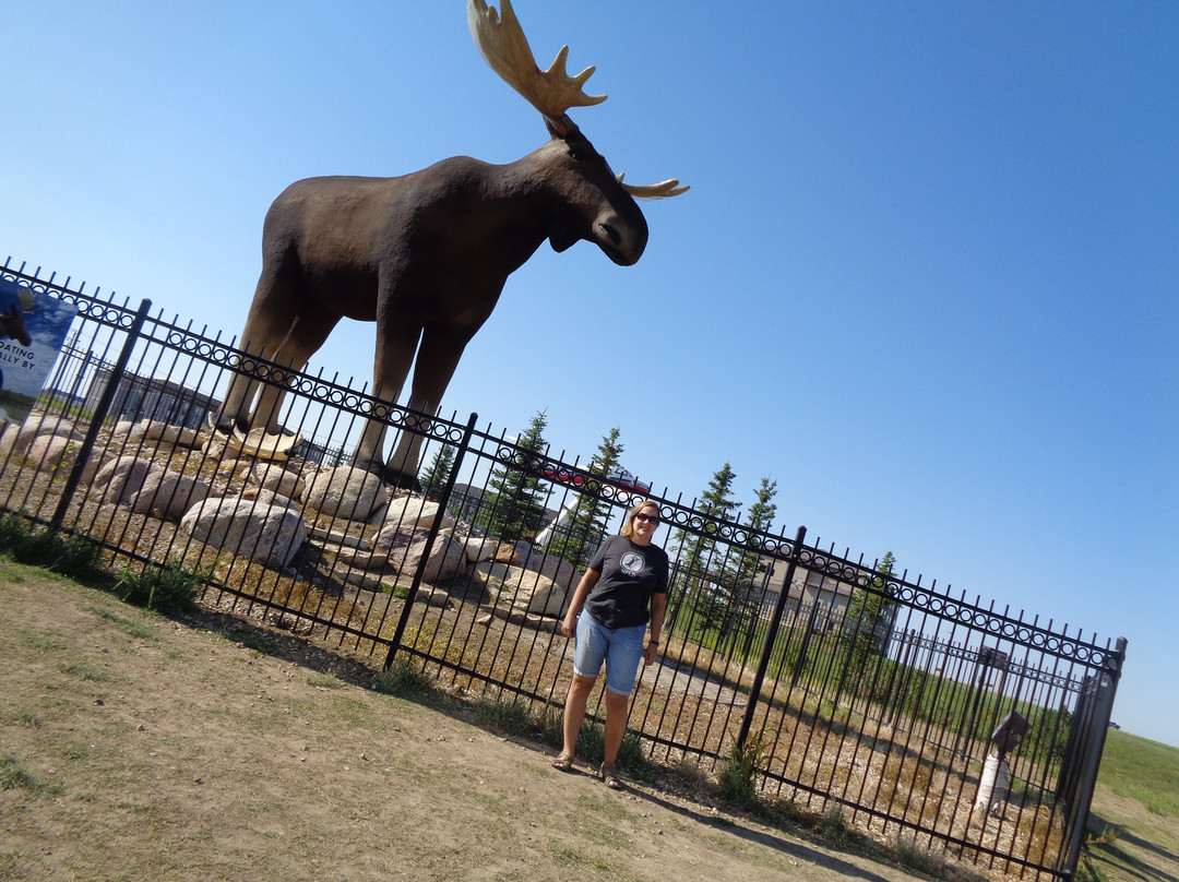 Mac the Moose Monument-穆斯乔必去景点