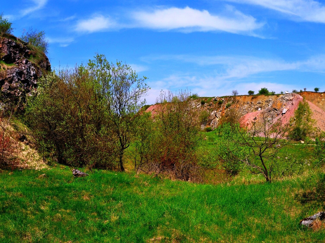 Wietrznia Nature Reserve (Rezerwat Przyrody Wietrznia)景点图片