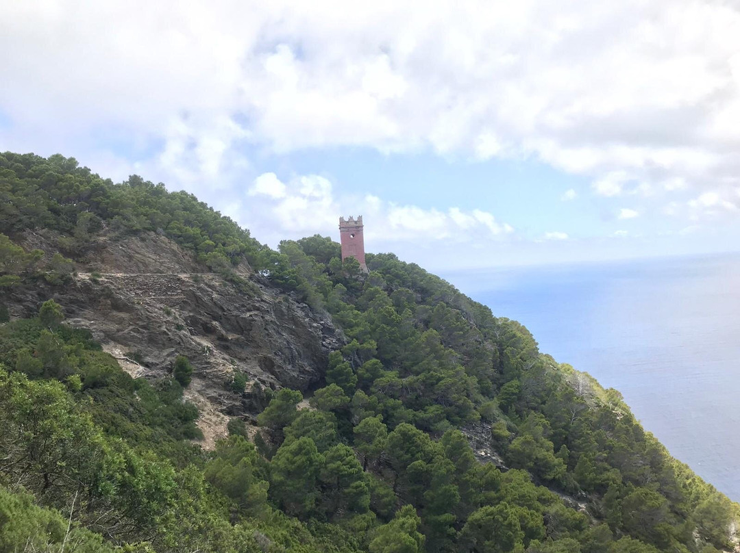T.H.E. Toscana Hiking Experience-Castelfiorentino必去景点