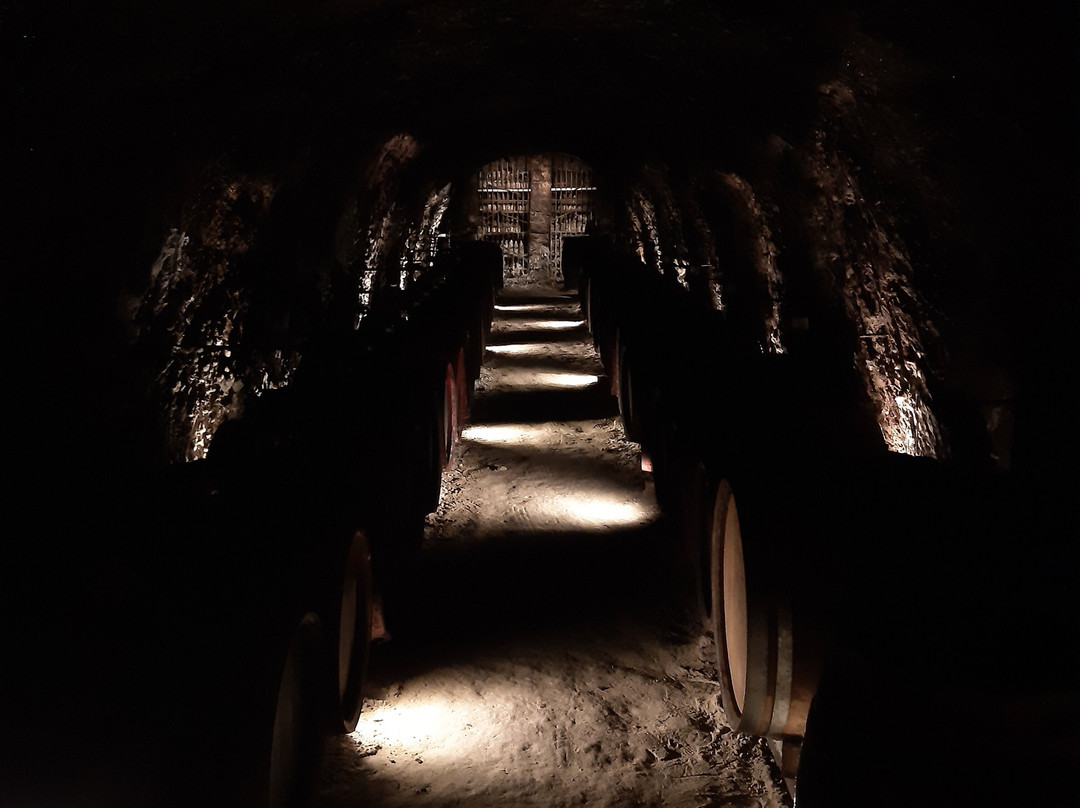 Tokaj Macik winery-Mala Trna必去景点