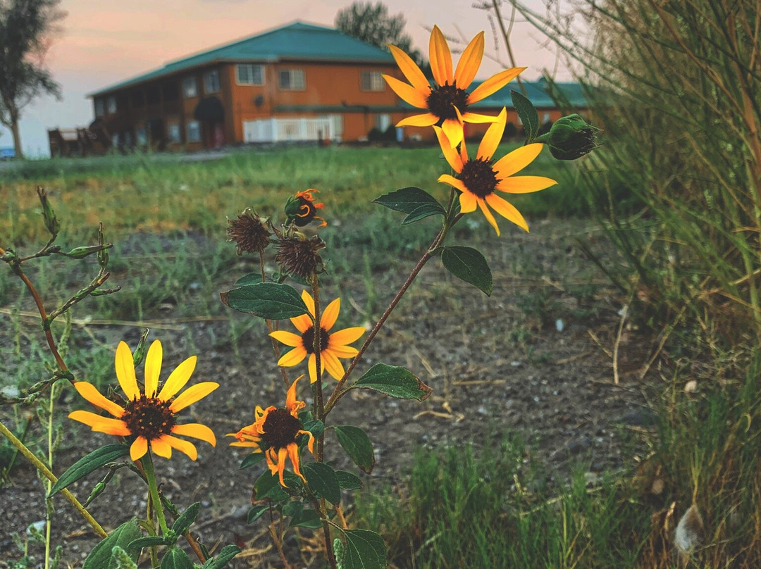 Surprise Valley Hotsprings主图