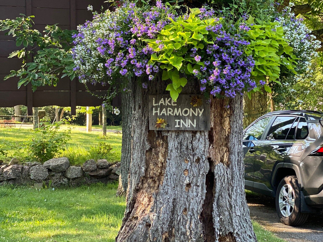 Lake Harmony Inn主图